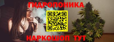 дурь Шелехов
