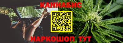 дурь Шелехов