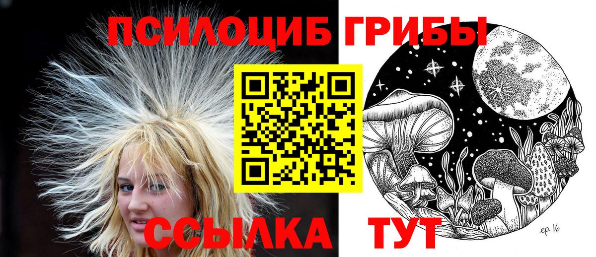 Королёв  Псилоцибиновые грибы прущие грибы  как найти   Вход с VPN 
